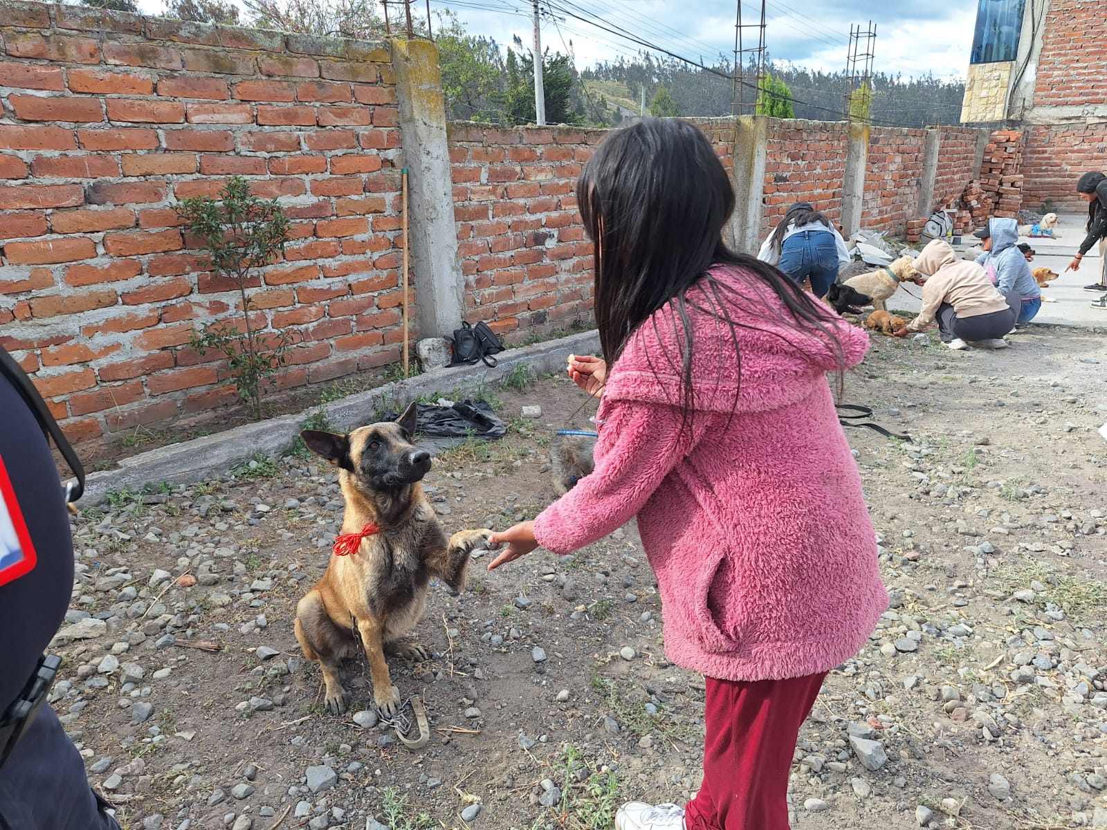 TALLER DE ADIESTRAMIENTO CANINO IMPULSA SEGURIDAD Y CONVIVENCIA EN AMBATO